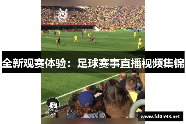 全新观赛体验：足球赛事直播视频集锦
